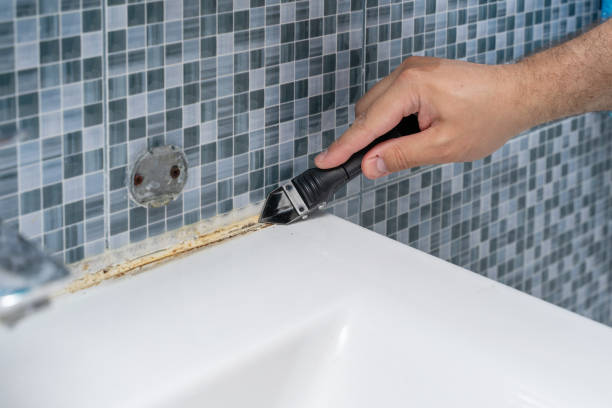 Best Certified Mold Removal  in Bolivar, MO