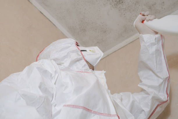 Best Office Mold Removal Services  in Bolivar, MO